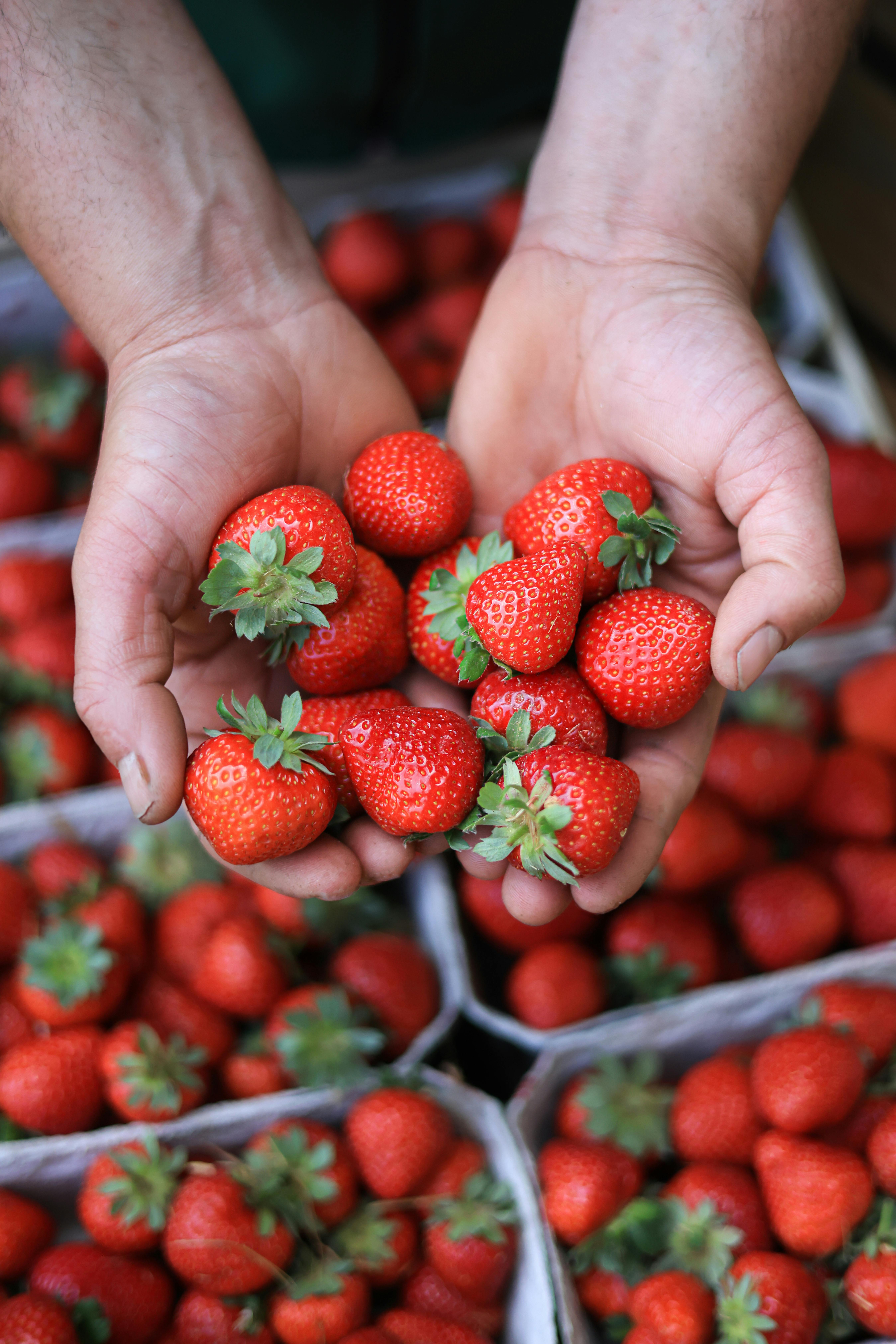 Turkishberry görsel detayı